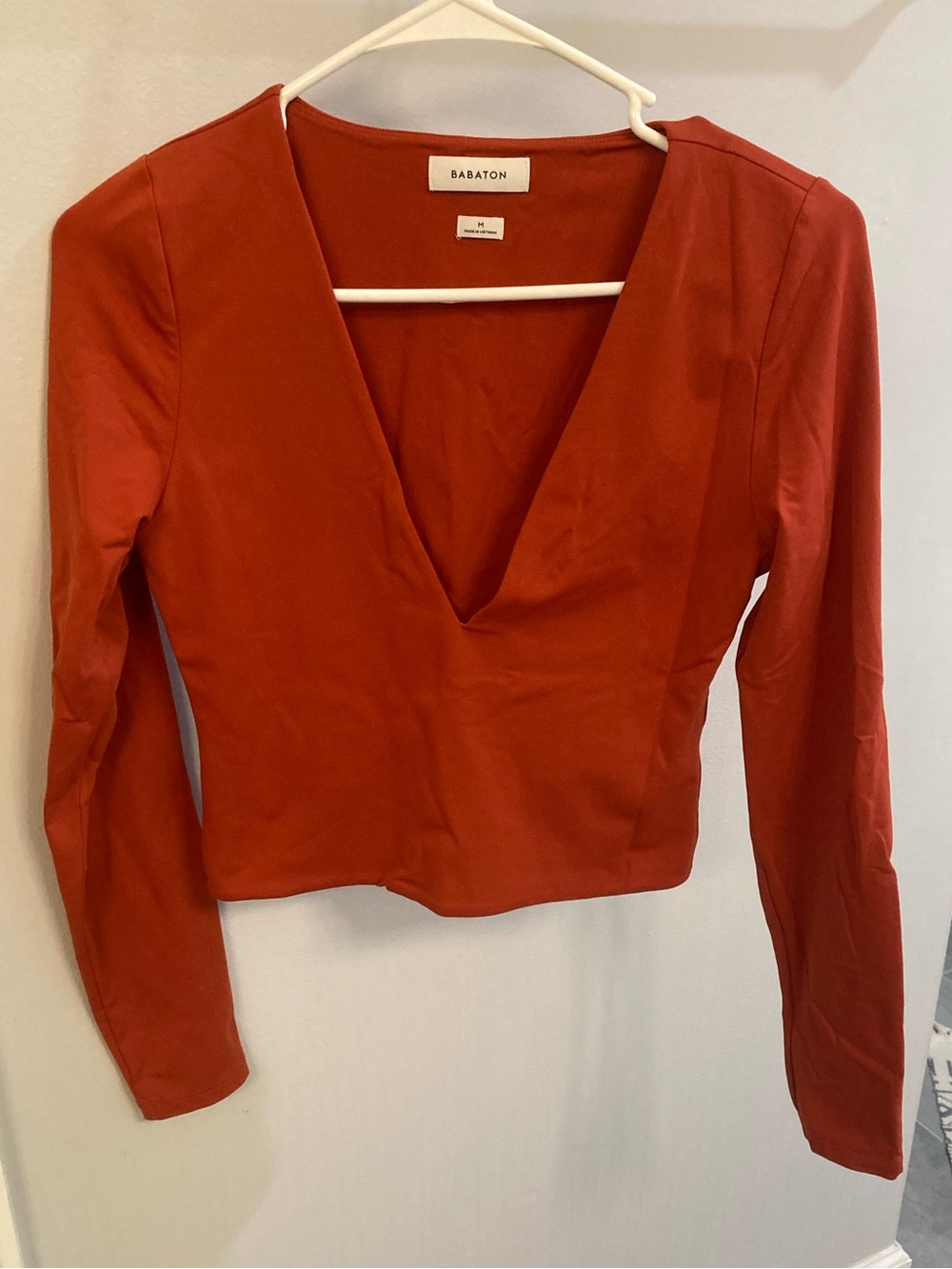 Babaton Aritzia Contour V Neck Long Sleeve Crop Top Size Medium